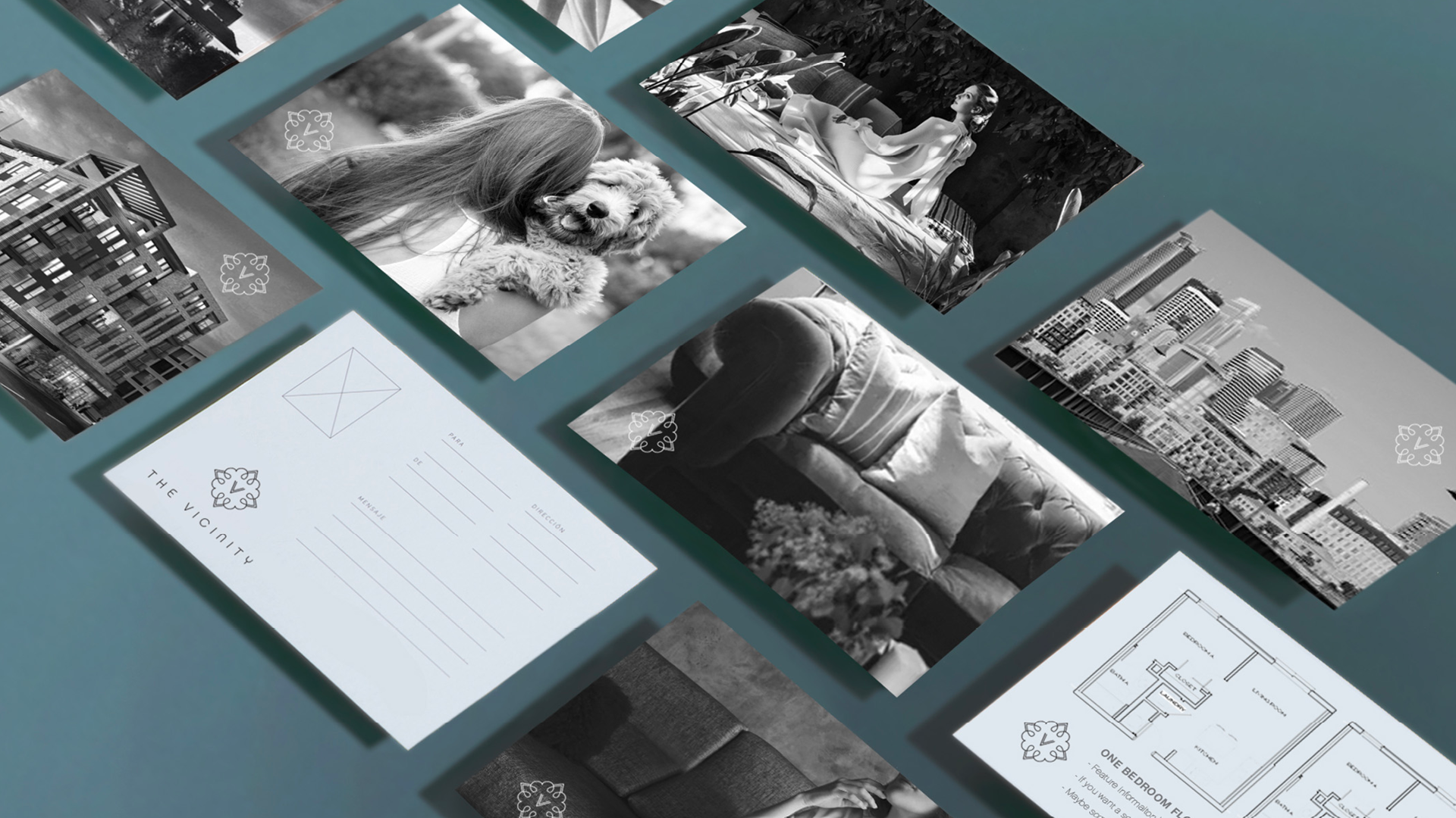 The Vicinity print materials