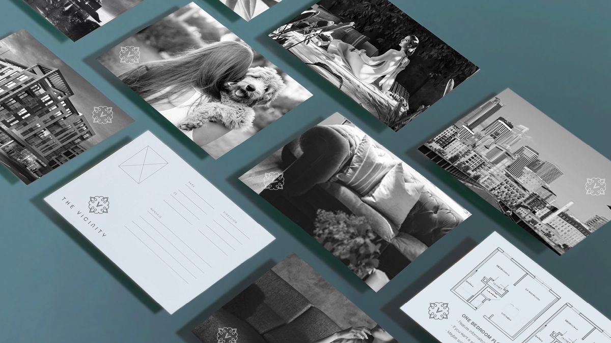 The Vicinity printed cards spread across a table